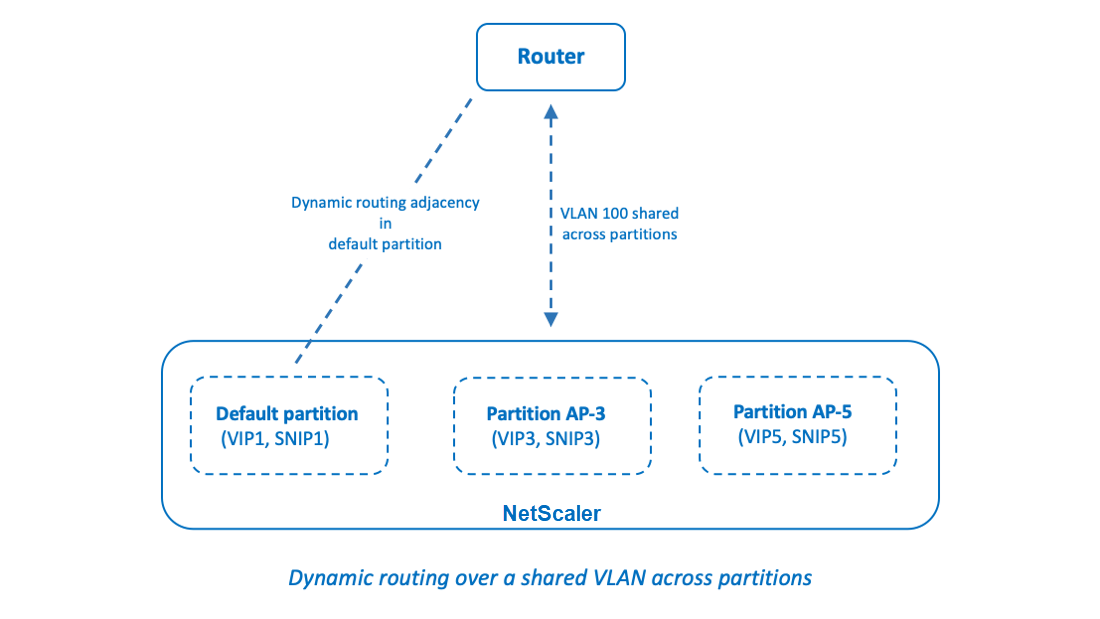Dynamic routing over a shared VLAN across partitions