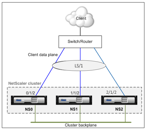Linkset topology