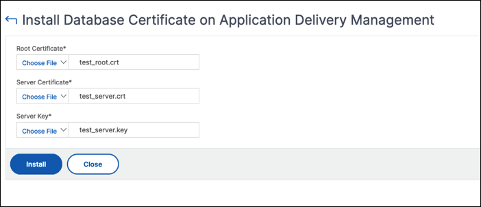 Install database certificate