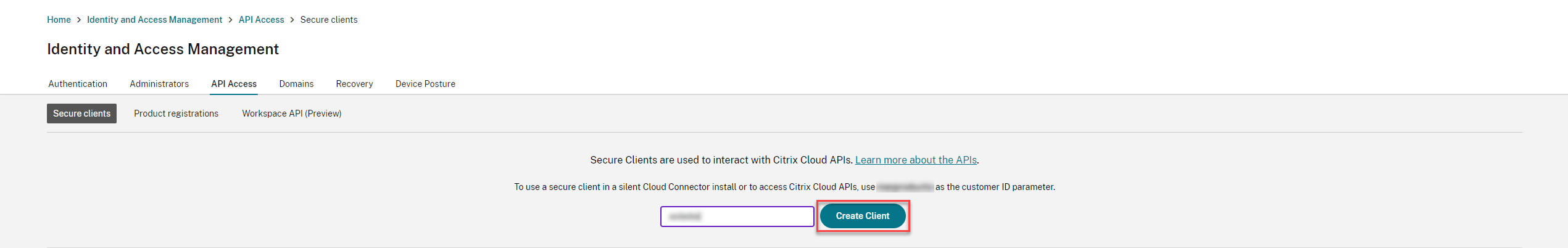 API access