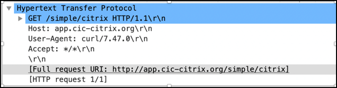 Curl output