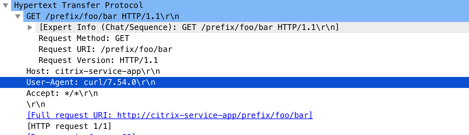 Replace host name