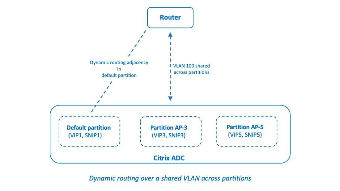 Dynamic routing over a shared VLAN across partitions