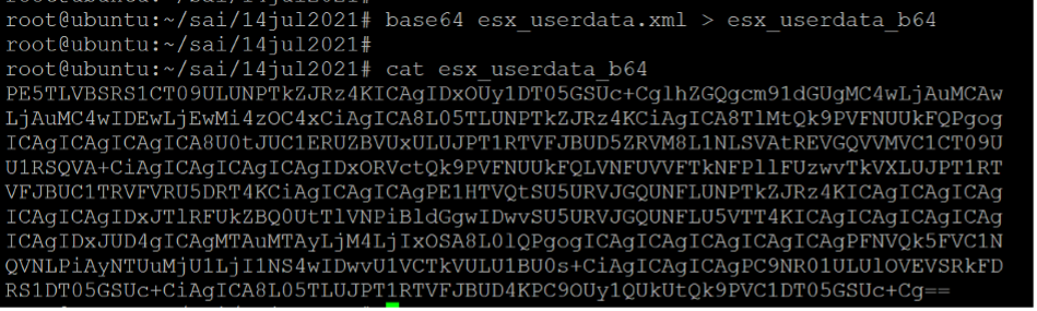 Base64 でエンコードされたユーザーデータ