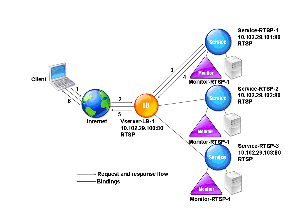 RTSP entity model