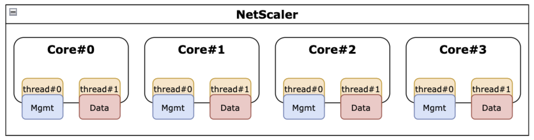 启用了 SMT 功能的 NetScaler