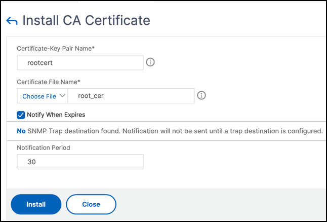 CA certificate parameters