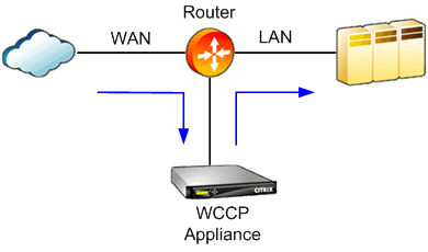 WCCP 交通流