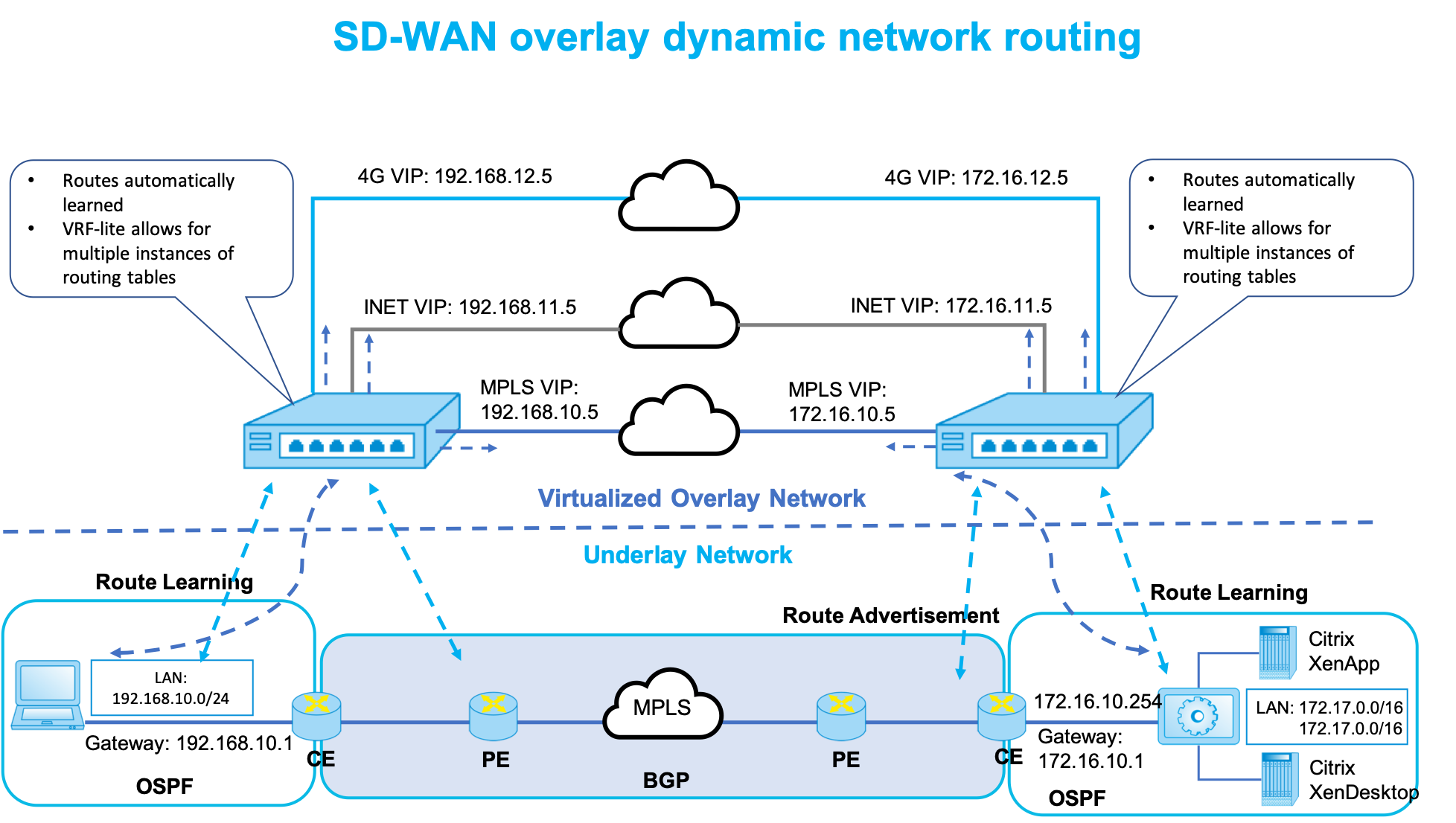 SD-WAN dynamic routing