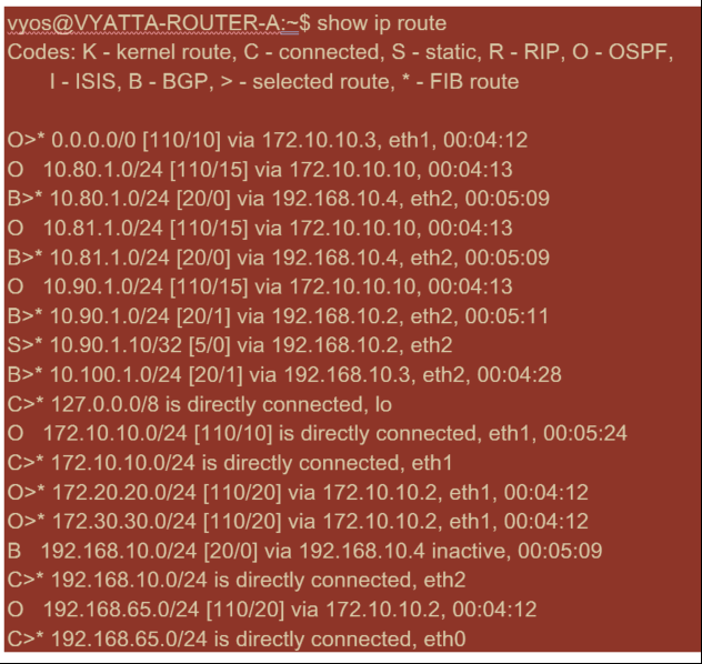 OSPF and BGP