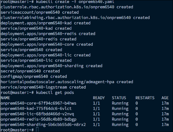 NetScaler agent created in Kubernetes cluster