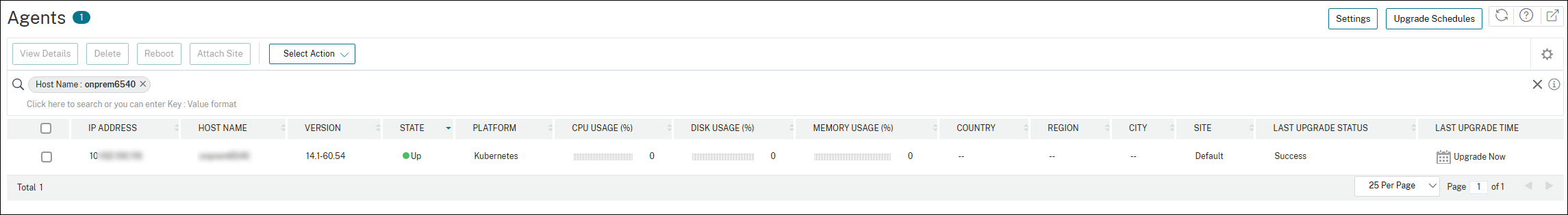NetScaler agent created in the Kubernetes cluster by using the NetScaler Console GUI