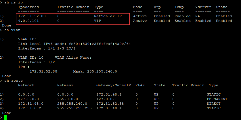 AWS show nsip 方法 3