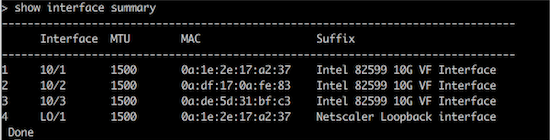 Network interface SR-IOV enabled