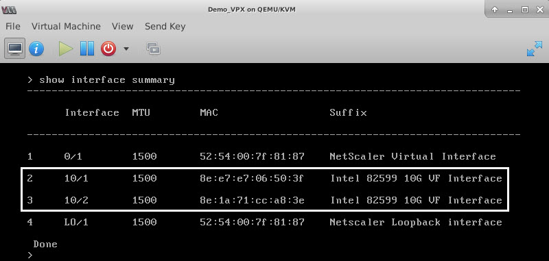 Output summary for Intel 82599 NIC