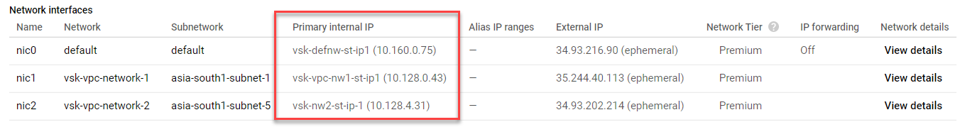 GCP NIC 详细信息