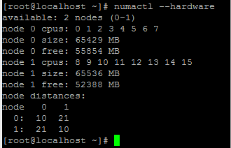 NUMA node #0