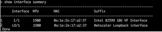 Network interface SR-IOV